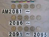 藏品(新加坡20分硬幣)的圖片